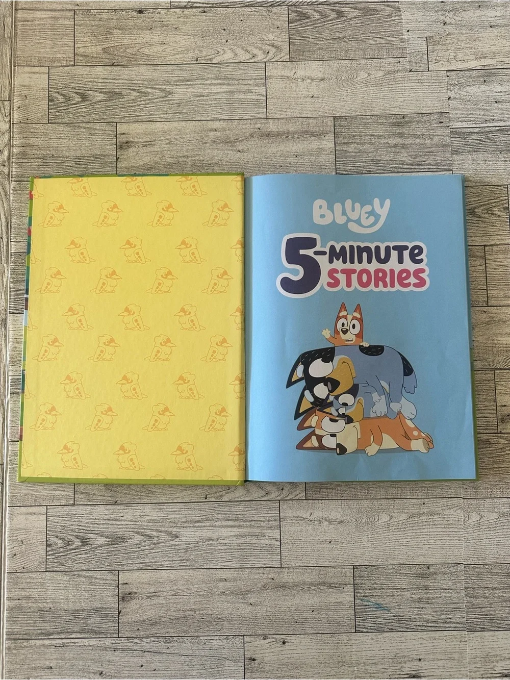 Bluey!! 5-Minute Stories book